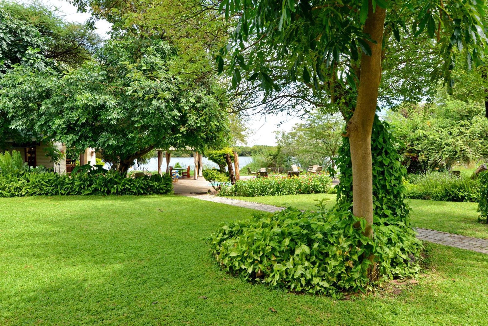 River View Lodge Kasane Szoba fotó